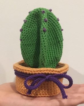 Cactus Lavande diffuseur de parfum