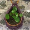 Suspension grande goutte violet anneau bois – Image 7